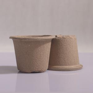 小花盆（50个）